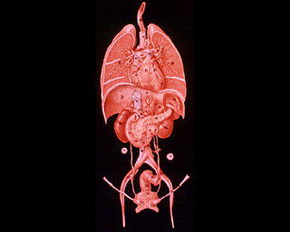 Illustration for article titled This awesome image may be found by aliens one day, floating in space